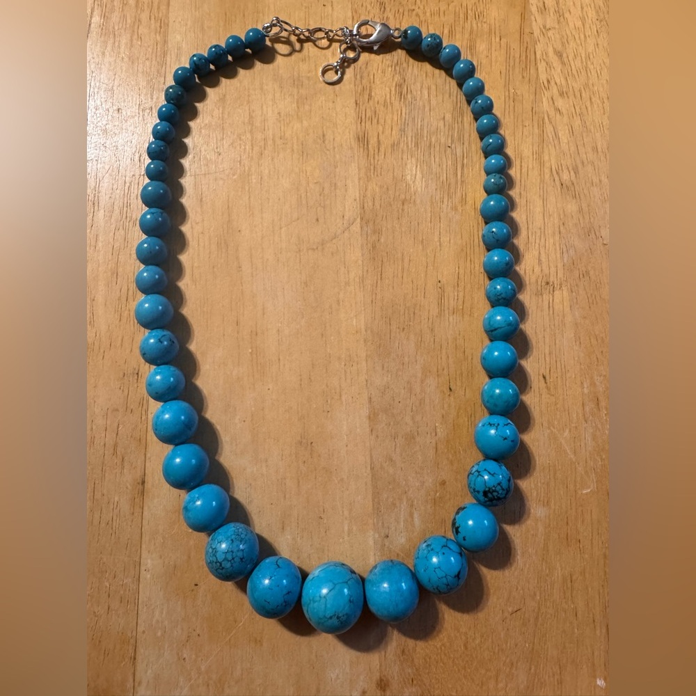 Statement Beaded Faux Turquoise Howlite Beaded Necklace